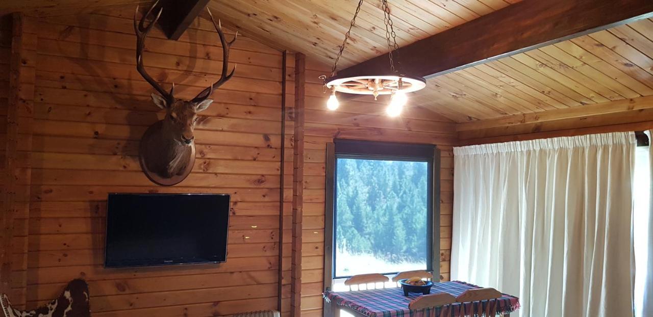 Lakeview Cottage 레이크 테카포 외부 사진